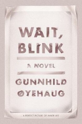 Cover of Wait, Blink