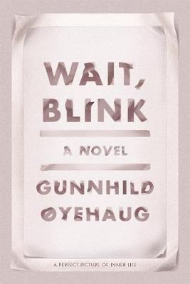 Book cover for Wait, Blink