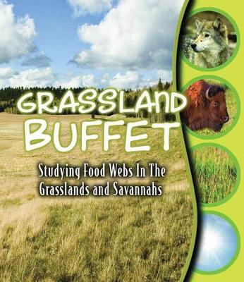 Book cover for Grassland Buffet