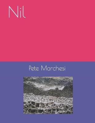 Book cover for Nil