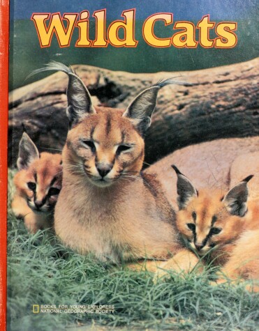 Book cover for Wild Cats