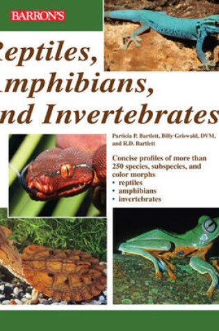Cover of Reptiles, Amphibians and Invertebrates