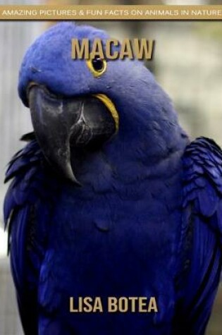 Cover of Macaw