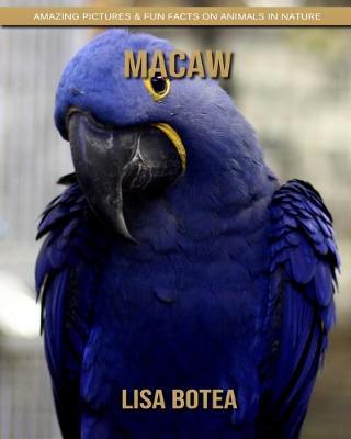 Book cover for Macaw