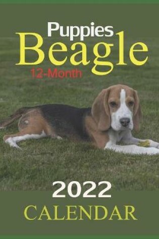 Cover of CALENDAR 2022 Beagle Puppies 12-Month