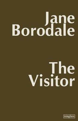 Book cover for The Visitor