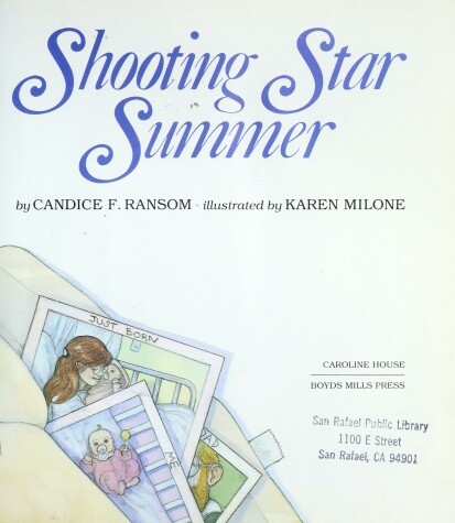 Book cover for Shooting Star Summer