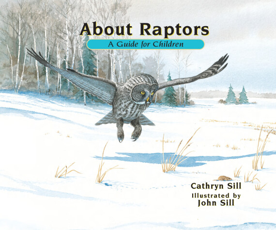 Book cover for About Raptors