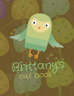 Book cover for Brittany's Owl Book