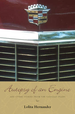 Book cover for Autopsy of an Engine