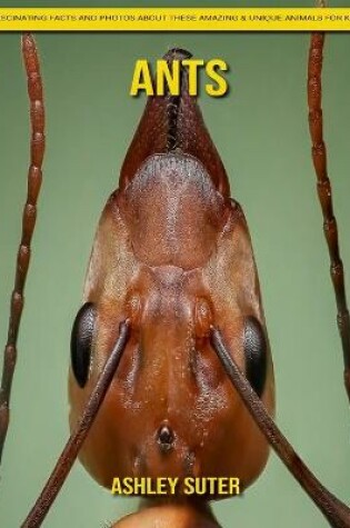 Cover of Ants