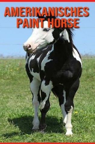 Cover of Amerikanisches Paint Horse