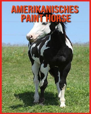 Book cover for Amerikanisches Paint Horse