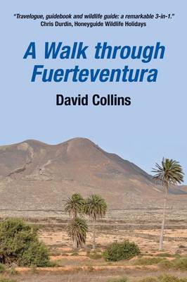 Book cover for A Walk Through Fuerteventura