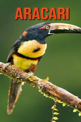 Cover of Aracari