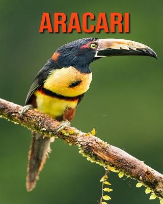 Book cover for Aracari