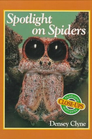 Cover of Spotlight on Spiders