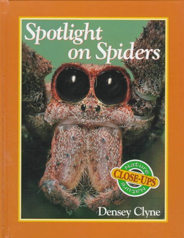 Book cover for Spotlight on Spiders