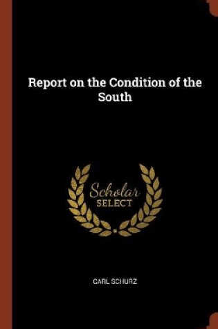 Cover of Report on the Condition of the South