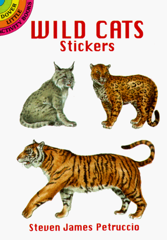 Book cover for Wild Cats Stickers