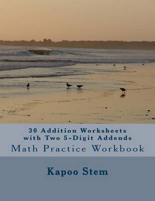 Book cover for 30 Addition Worksheets with Two 5-Digit Addends