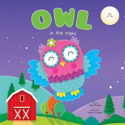 Cover of Owl in the night