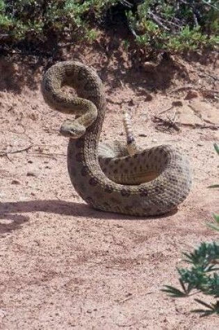 Cover of The Coiled and Striking Rattlesnake Journal - Watch Out!