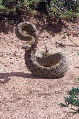 Book cover for The Coiled and Striking Rattlesnake Journal - Watch Out!