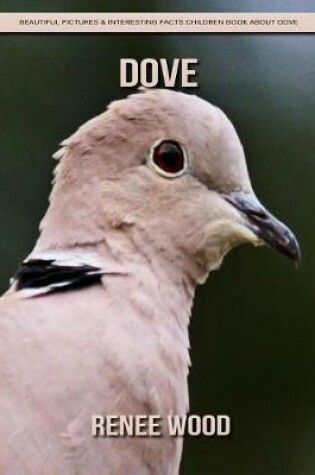 Cover of Dove