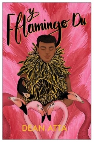 Cover of Y Fflamingo Du