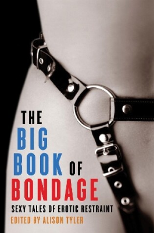 Cover of The Big Book of Bondage