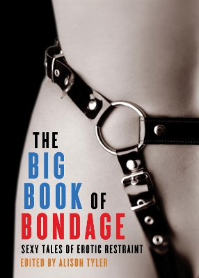 Book cover for The Big Book of Bondage