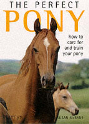 Book cover for The Perfect Pony