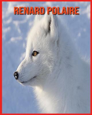 Book cover for Renard Polaire