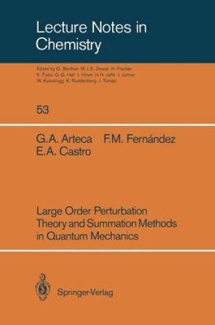 Cover of Large Order Perturbation Theory and Summation Methods in Quantum Mechanics