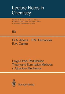 Cover of Large Order Perturbation Theory and Summation Methods in Quantum Mechanics