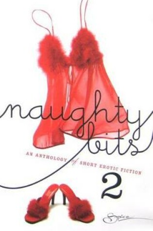 Cover of Naughty Bits 2
