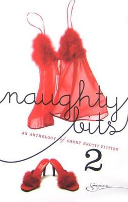 Book cover for Naughty Bits 2