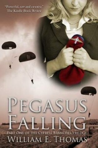 Cover of Pegasus Falling