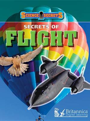 Book cover for Secrets of Flight