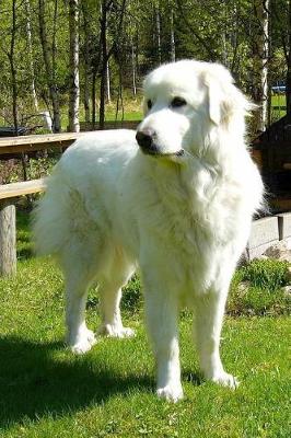 Book cover for Great Pyrenees in the Garden Journal