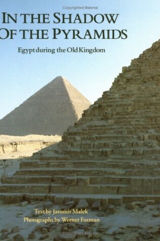 Cover of In the Shadow of the Pyramids