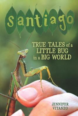 Book cover for Santiago