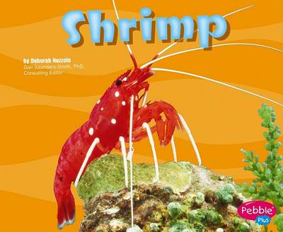 Book cover for Shrimp