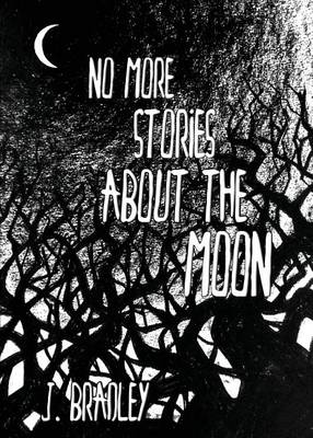 Book cover for No More Stories About the Moon