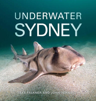 Book cover for Underwater Sydney