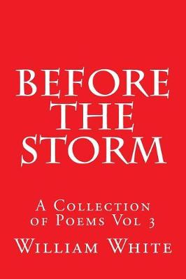 Book cover for Before the Storm