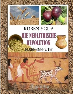 Book cover for Die Neolithische Revolution