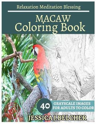 Book cover for Macaw Coloring Book for Adults Relaxation Meditation Blessing