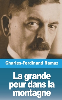 Book cover for La grande peur dans la montagne